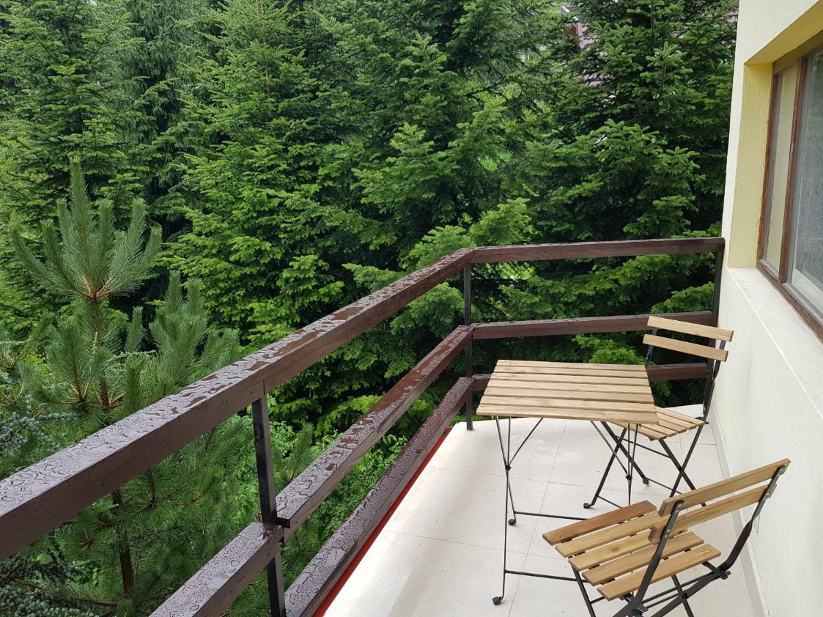 Forest Apartments By Olala Homes Sinaia Exteriér fotografie