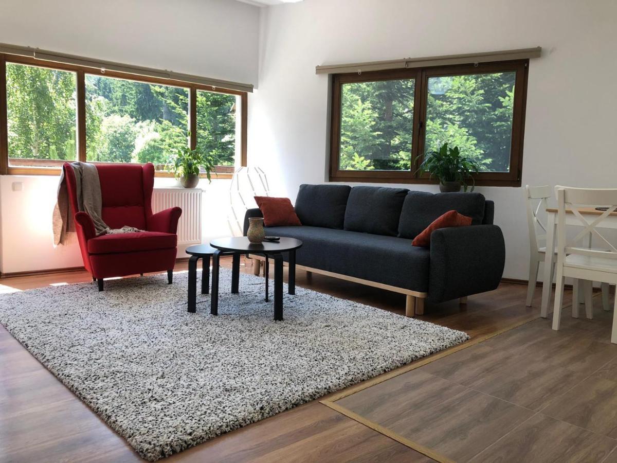 Forest Apartments By Olala Homes Sinaia Exteriér fotografie